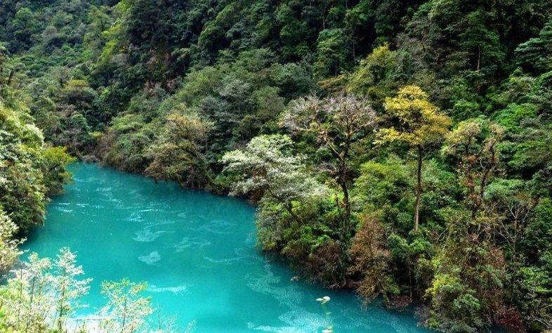 禅宗花园